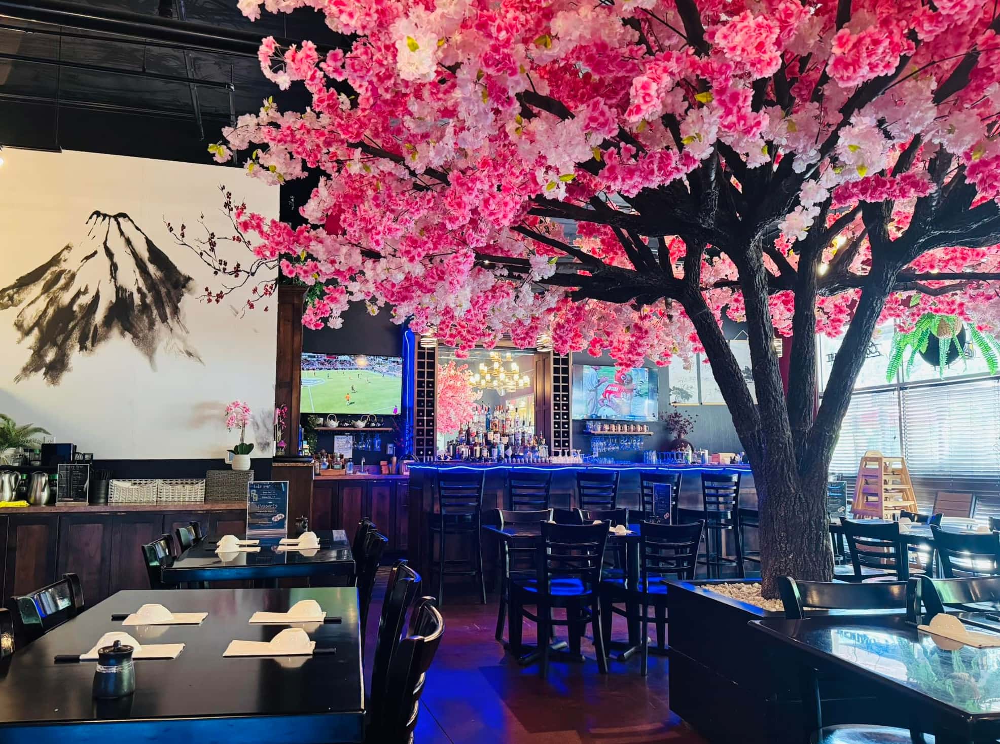 The dining room at Genkai, where a full-size artificial cherry blossom tree in bloom spreads over black lacquer tables and the sushi bar